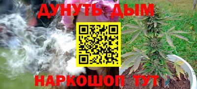 сатива Гусь-Хрустальный